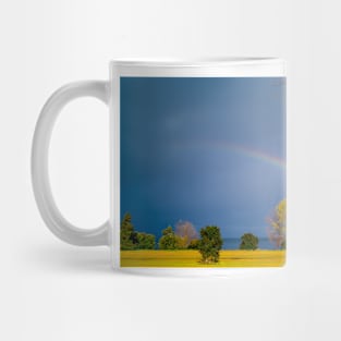 9242015 chasing rainbows Mug